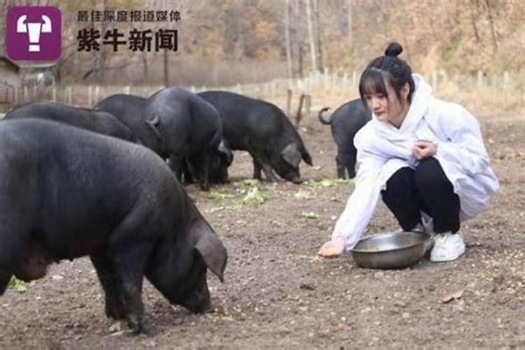 生肖虎女命中注定的情人