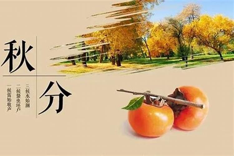 秋分节气传统习俗有哪些