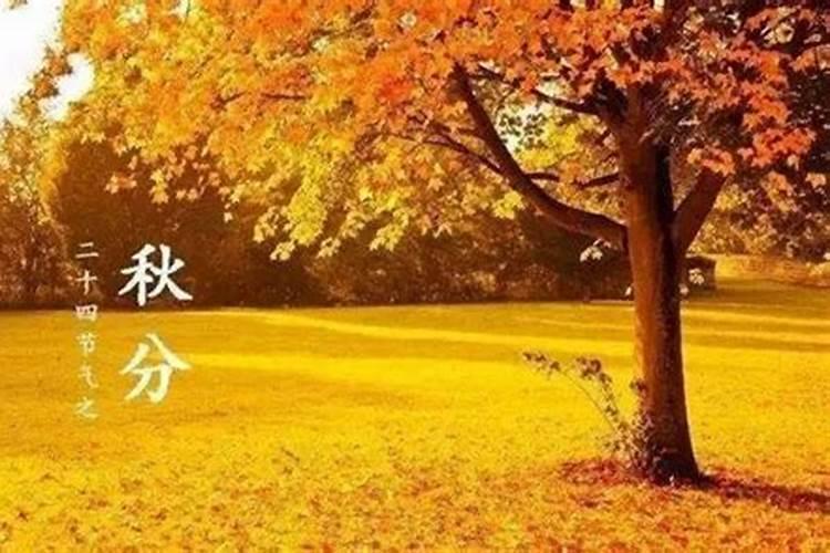 秋分节气由来及传统习俗一览