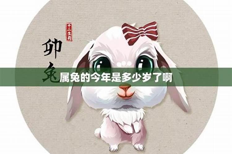 76龙2025每月运势