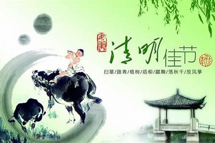 农历十一月出生辰龙命运好吗,属龙人一生运势如何？