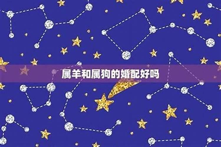 梦见棺材里面有灵性的动物？