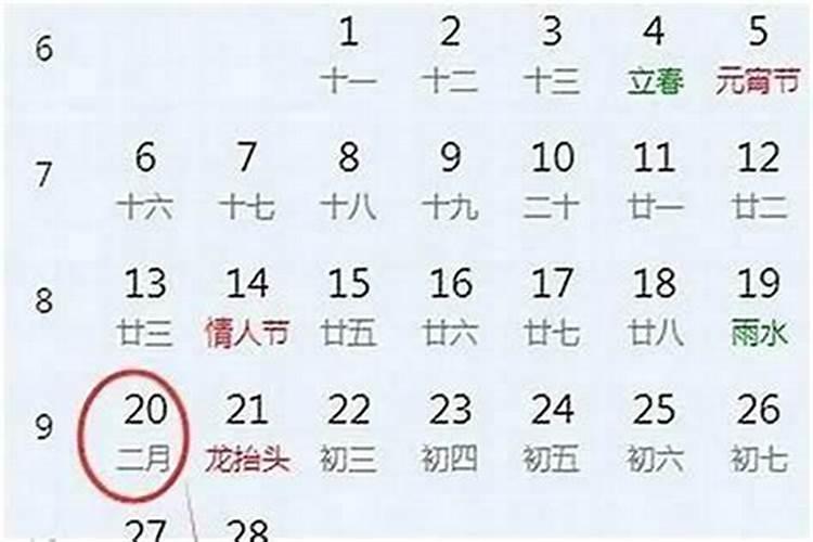 1992年八月初六的属猴命运是怎样