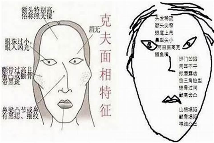 梦见很多老鼠到处乱跑是什么意思