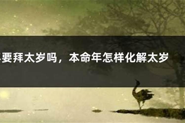 女猪男狗属相合不合 94属狗男和95属猪女相配吗
