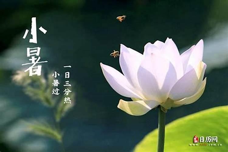 生辰八字那些字怎么读