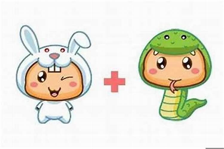 2001年属蛇和1999年属兔婚姻 比较协调能成婚