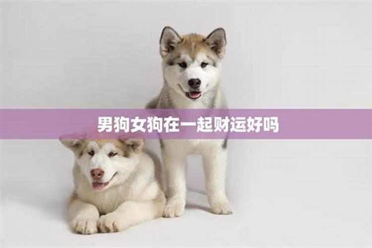 梦见爱人突然对我很冷淡的预兆
