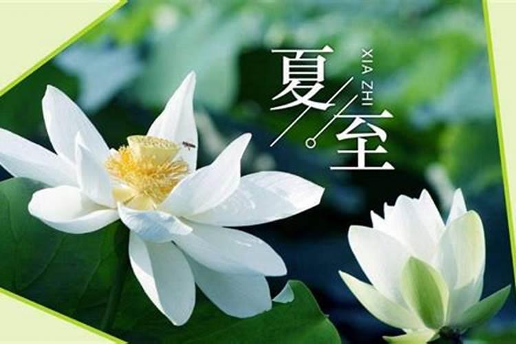 陕西宝鸡习俗作文600字,急需。谢谢!