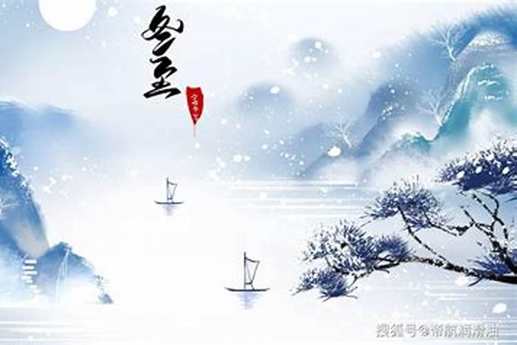 详解八字的从儿格
