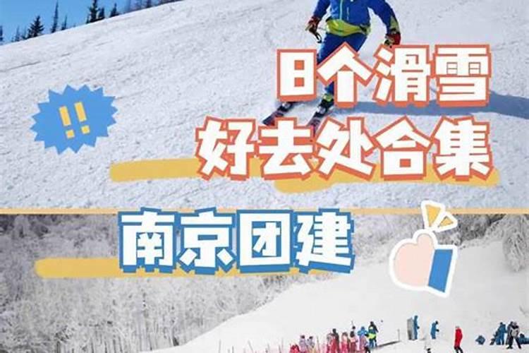 梦见很多头黄牛的预兆