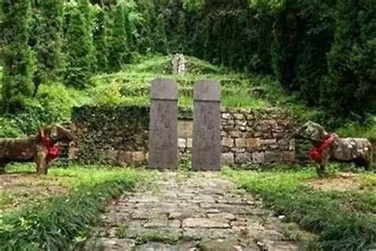 八字怎么看子女个数具体个数