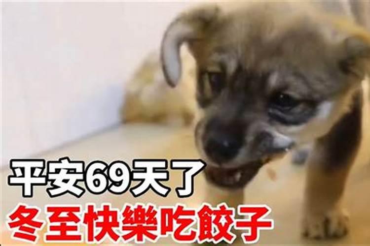关于娶莆田女孩后的风俗/风气