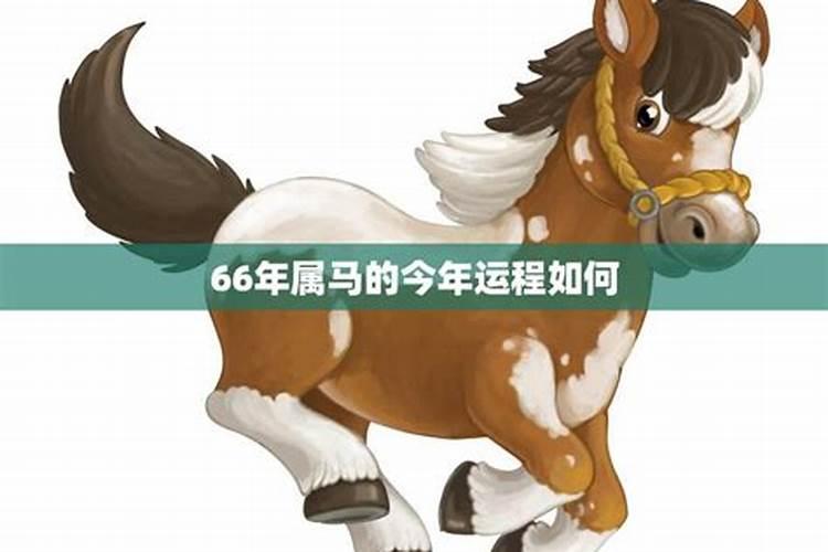 属马今年运势2026年运势如何