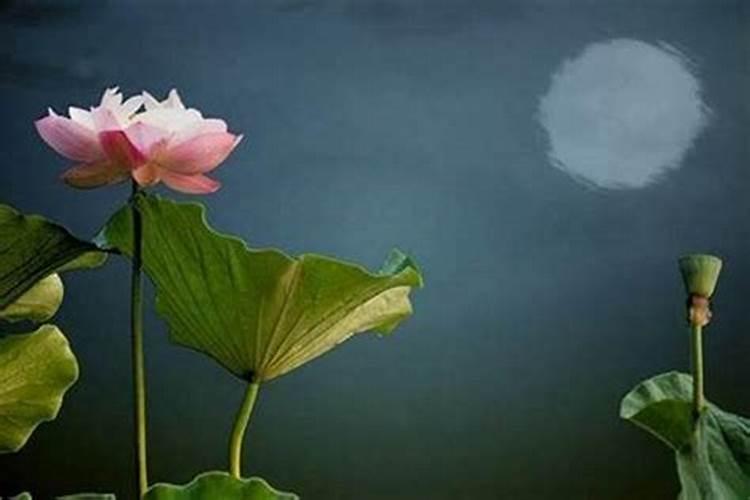 老婆梦见老公出轨是什么意思