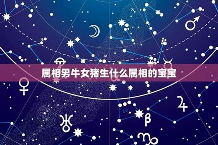 我属牛的阴历八月十五的生日 请问是什么星座