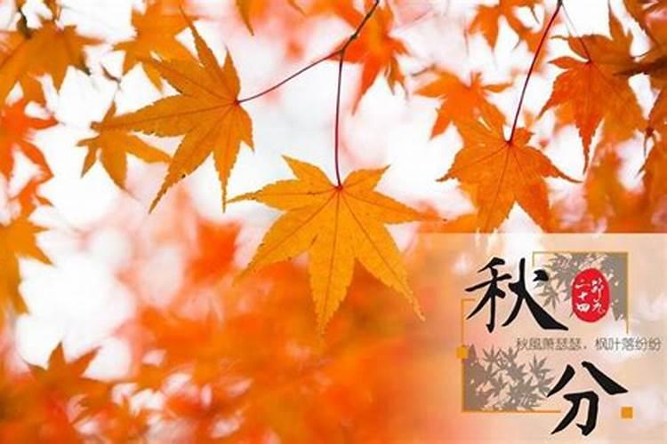 梦见清明祭祖拜墓,扫墓是什么预兆？