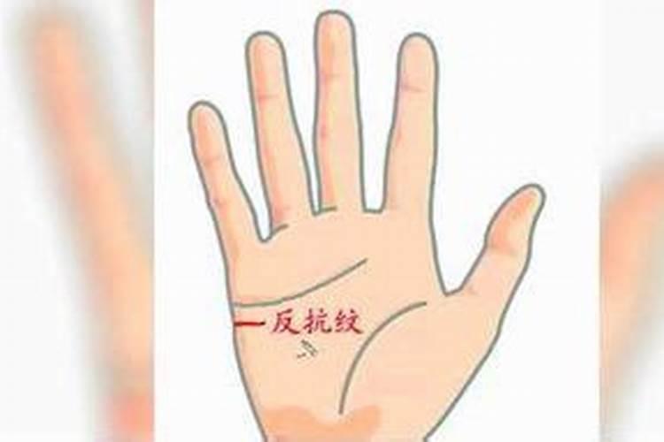 2025年是第几个世界环境日