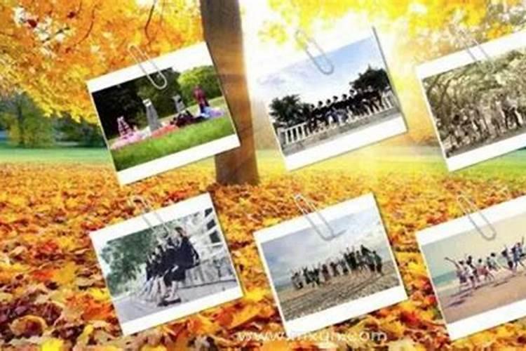 梦见同学聚会的预兆
