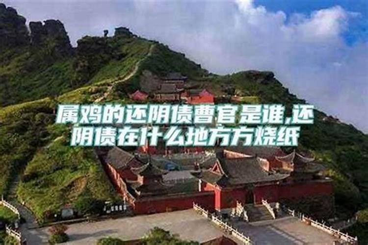 梦见很多死猪在粪坑的预兆