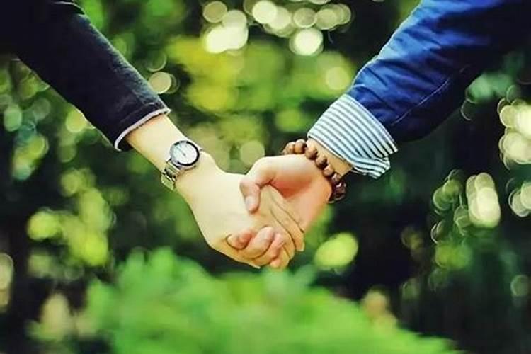 合婚散事科仪讲的什么