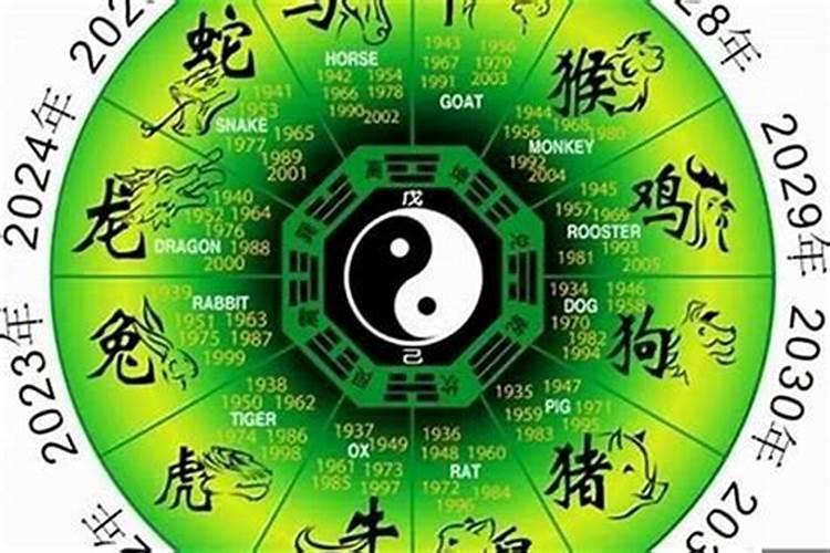 属相是蛇的生在阴历11月好不好？