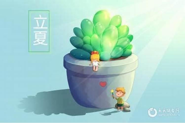 属鸡的和属鸡的婚姻合不合