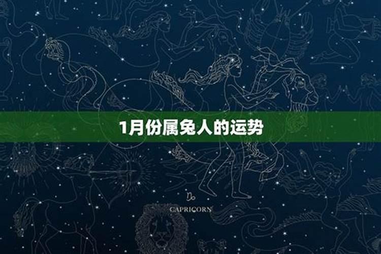 属兔12月份的运程和财运