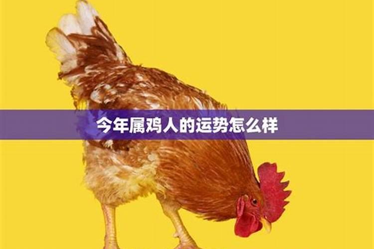 办公室坐向风水布局 办公室怎么坐风水好