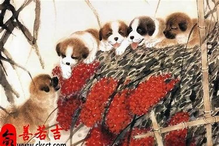 本命年结婚有什么后果 婚后感情会变差吗？