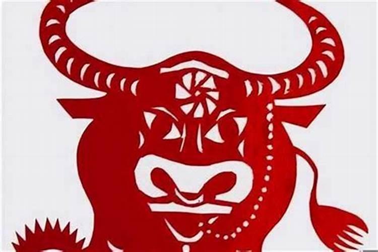 属牛的哪些年犯太岁