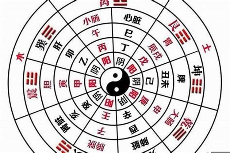 金牛座2025年下半年运势