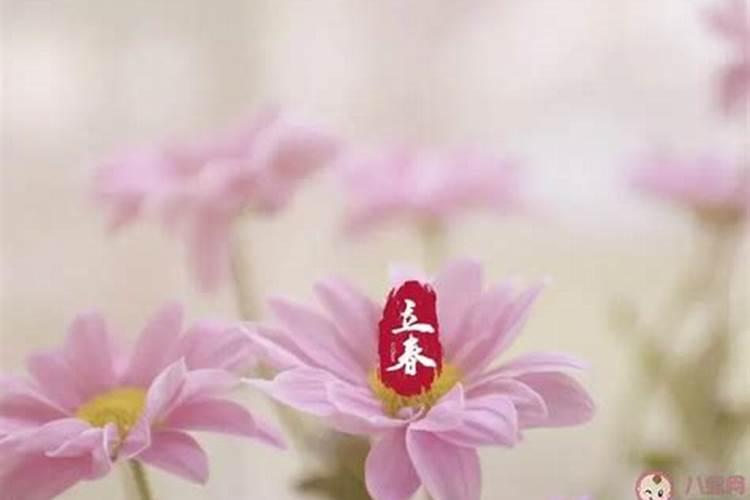 中秋节属什么生肖属相