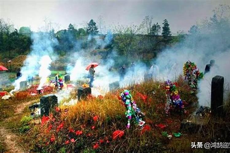 2025属猪人每月运势及运程如何