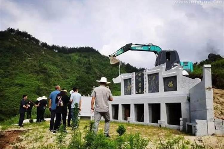 农历5月出生的属狗人运程