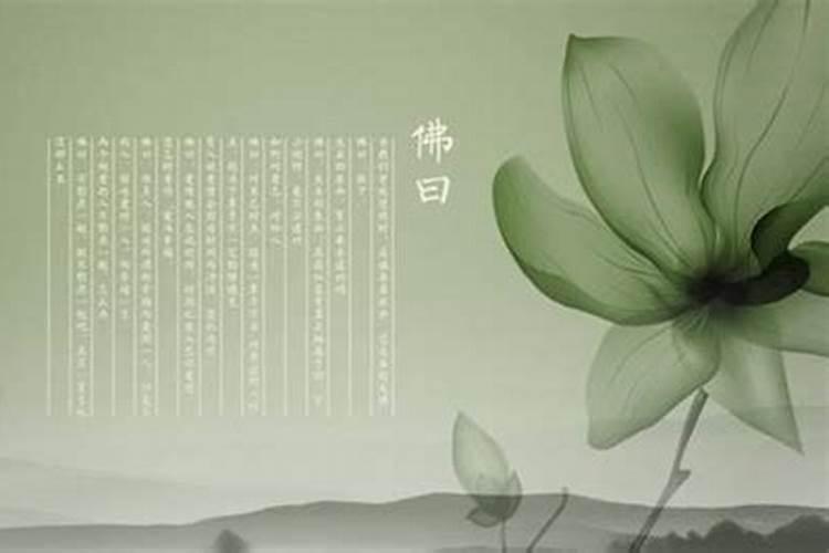 怀孕梦到被蛇咬 怀孕梦到被蛇咬的寓意