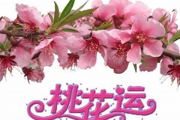 怎样催旺姻缘桃花运