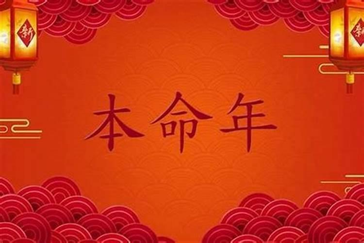 定西有哪些特色小吃甘肃定西的特产