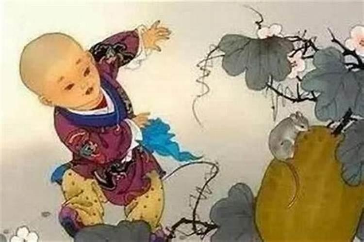 1984年属鼠人2024全年运程每月运势