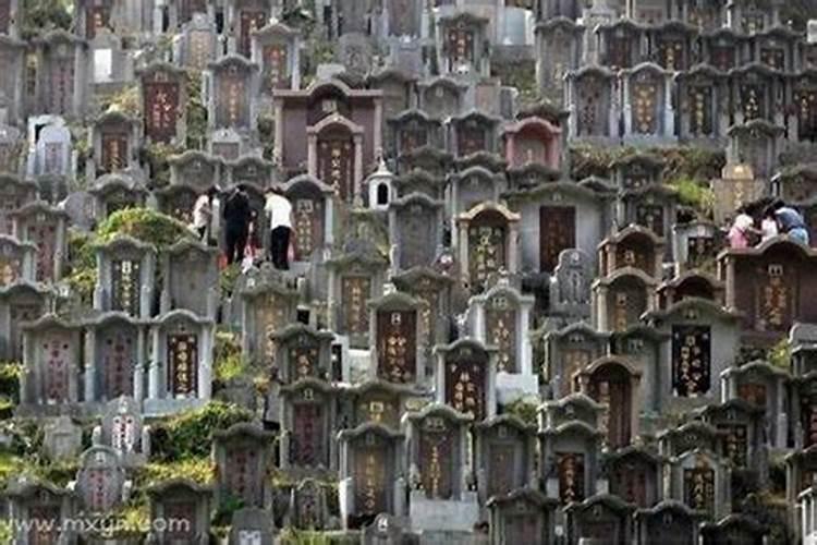 做梦梦到墓地是什么预兆