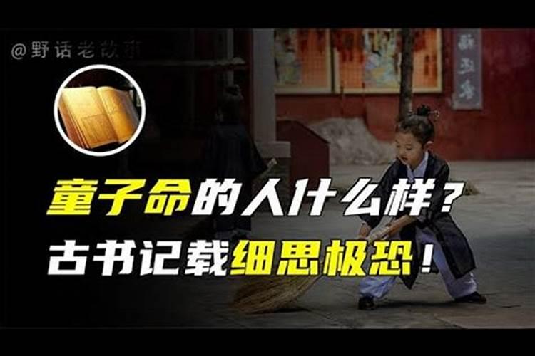 真童子很稀有吗