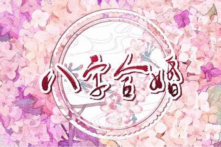 梦见老公和他前妻的预兆