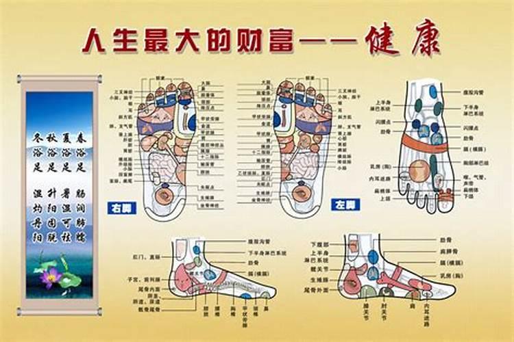 属虎的本命年穿什么颜色的衣服 属虎的本命年应该穿什么颜色的衣服