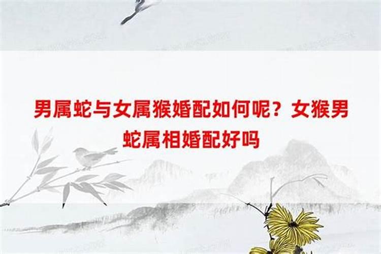 农历十一月出生的鼠是什么命,属鼠11月出生是什么命