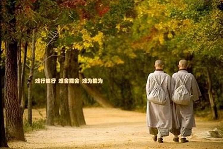 佛教戒律比丘尼不可以一人住一寺院吗？