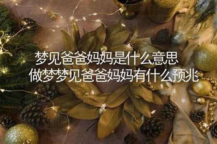 梦见妈妈来我家是什么梦
