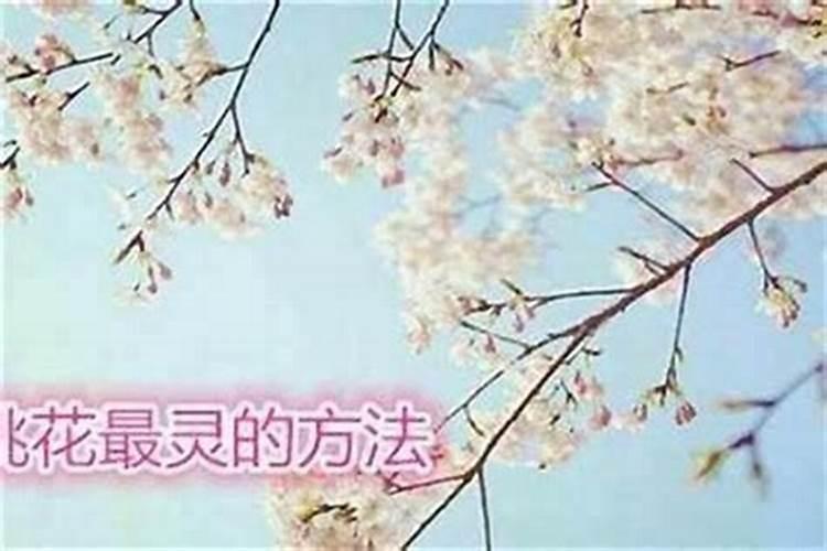 女人佩戴什么斩烂桃花