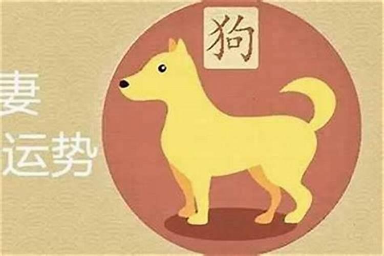 属狗与什么属相相克