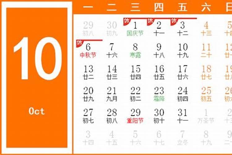 2023年10月31日冲什么生肖
