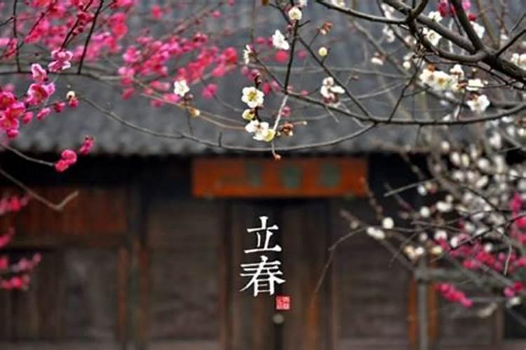 山东省潍坊市的黄鹿井村是一块怎样的“风水宝地”？